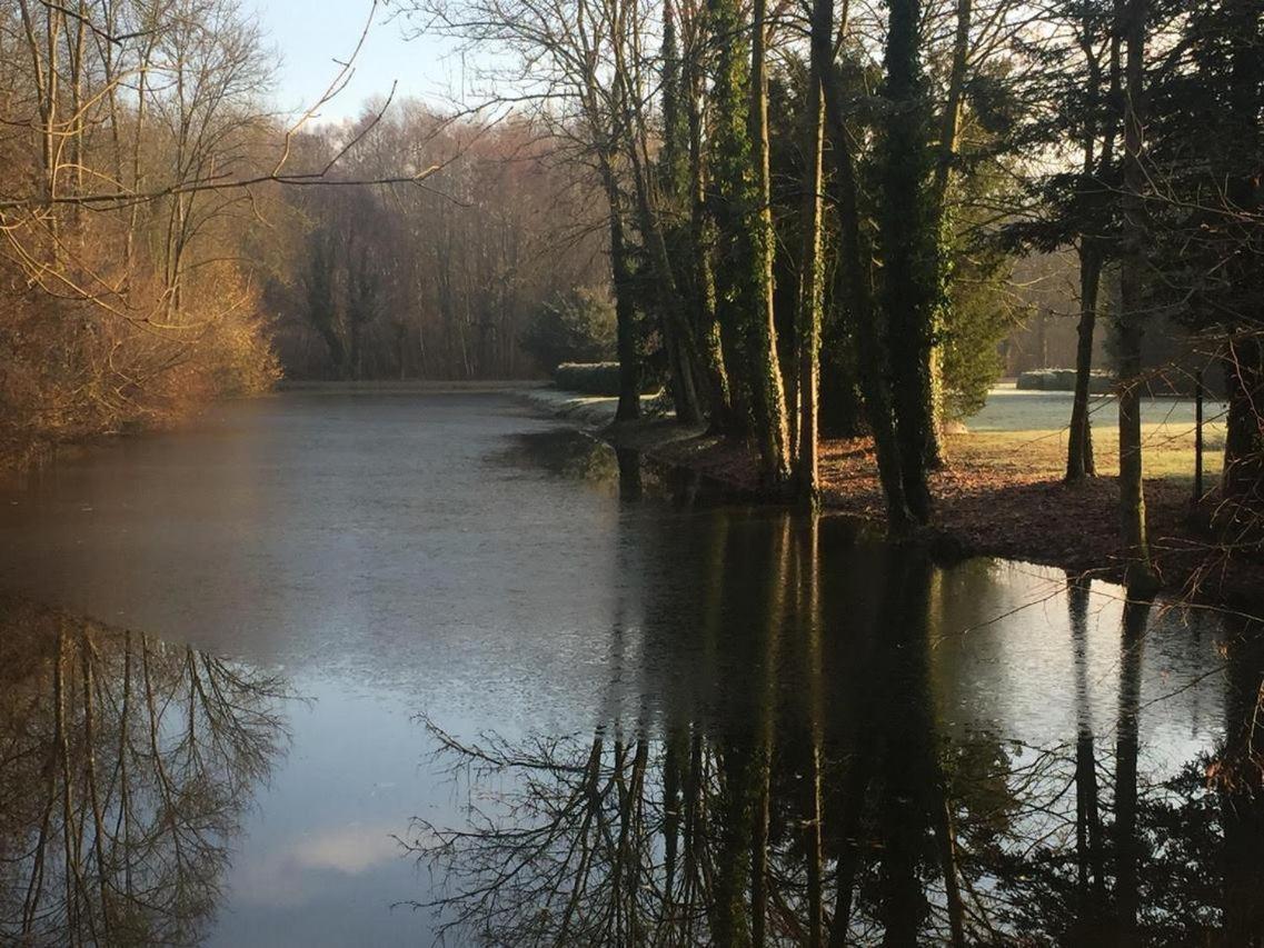 Chateau De Vitry-La-Ville Eksteriør billede