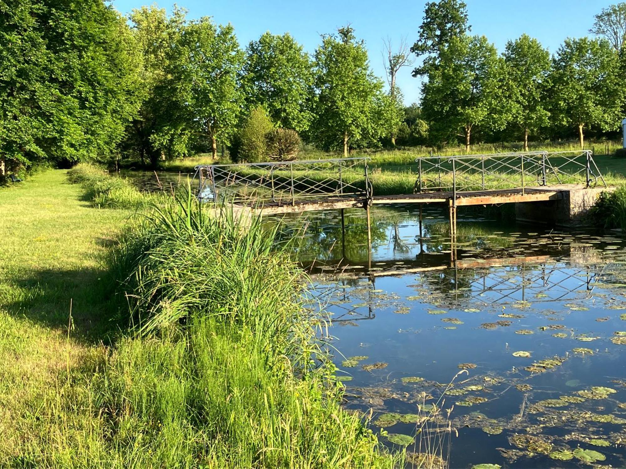 Chateau De Vitry-La-Ville Eksteriør billede